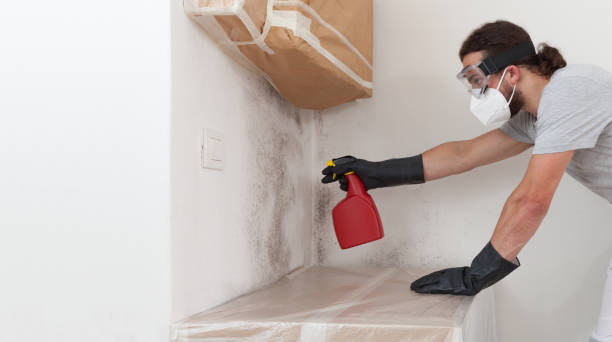 Professional Attic Mold Remediation technician working in East Waterford, PA