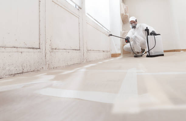 24/7 Emergency Attic Mold Remediation experts in East Waterford, PA